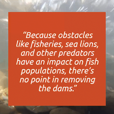 An animated gif rotates through a number of text-focused images that say 1) A COMMON MYTH: