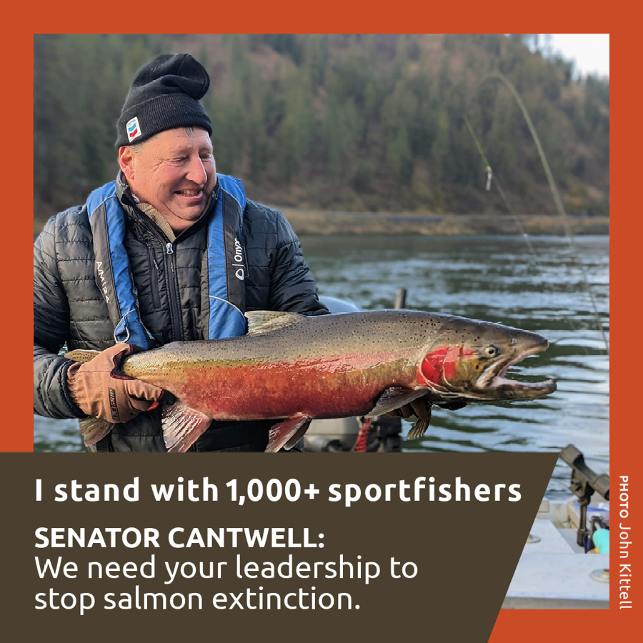 Photo of a man holding a large salmon that he has caught with text that reads: I stand with 1,000+ sportfishers. SENATOR CANTWELL: We need your leadership to stop salmon extinction.